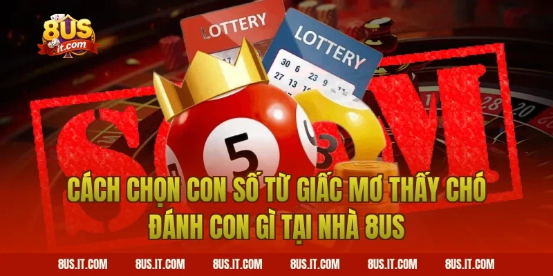 Cách Chọn Con Số Từ Giấc Mơ Thấy Chó Đánh Con Gì Tại Nhà 8US