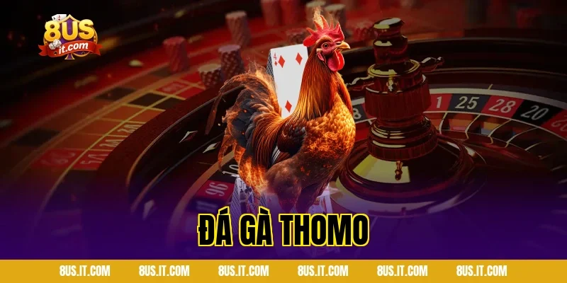đá gà thomo