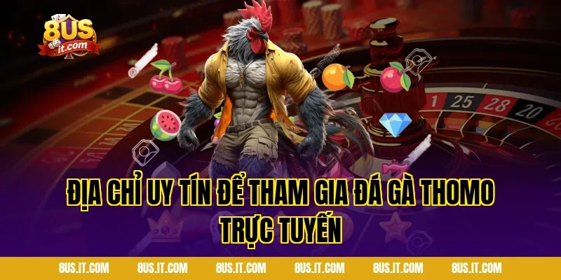 Địa chỉ uy tín để tham gia đá gà Thomo trực tuyến