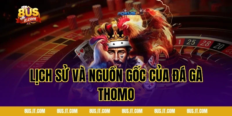 Lịch sử và nguồn gốc của đá gà Thomo