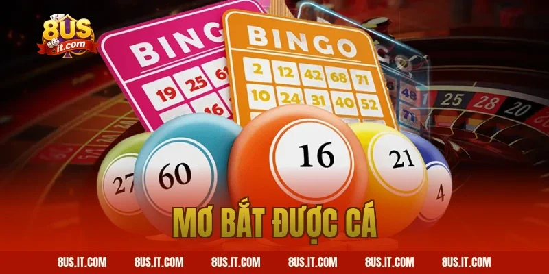 mơ bắt được cá