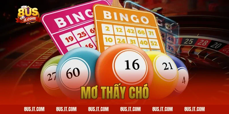 mơ thấy chó