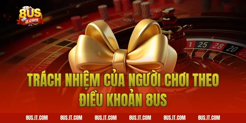 Trách Nhiệm Của Người Chơi Theo Điều Khoản 8US